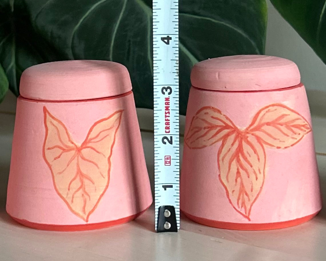 ๐ผ๐๐ท๐ฐ๐ธ๐ท๐ฒ๐พ๐ถ ๐ฎ๐ฟ๐ธ๐ต๐พ๐ฝ๐ฒ๐ธ๐ท ๐ณ๐ช๐ป๐ผ ๐งงโ.โก