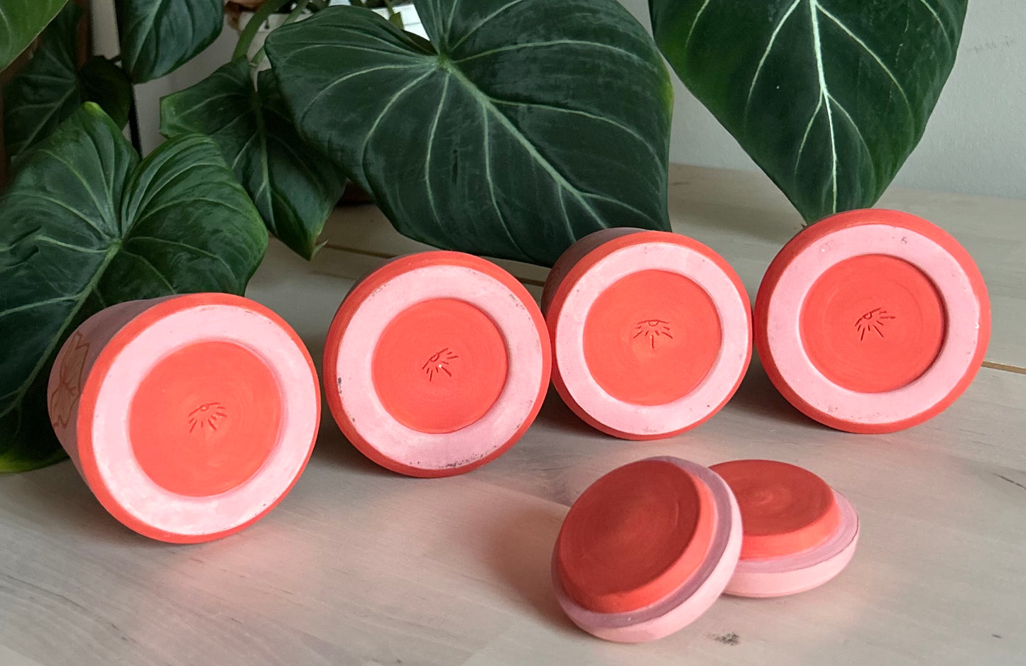 𝓼𝔂𝓷𝓰𝓸𝓷𝓲𝓾𝓶 𝓮𝓿𝓸𝓵𝓾𝓽𝓲𝓸𝓷 𝓳𝓪𝓻𝓼 𖧧⚘.⟡