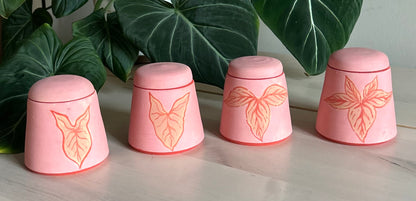 𝓼𝔂𝓷𝓰𝓸𝓷𝓲𝓾𝓶 𝓮𝓿𝓸𝓵𝓾𝓽𝓲𝓸𝓷 𝓳𝓪𝓻𝓼 𖧧⚘.⟡