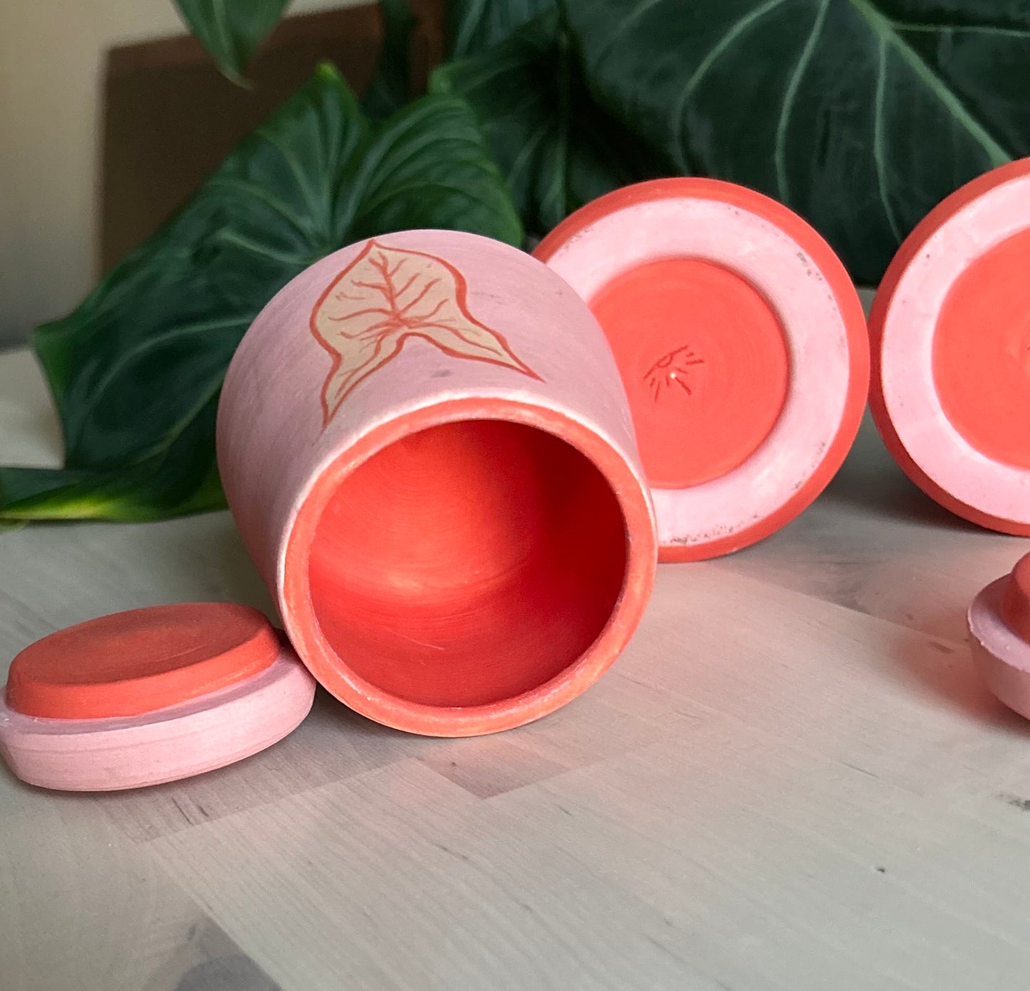 𝓼𝔂𝓷𝓰𝓸𝓷𝓲𝓾𝓶 𝓮𝓿𝓸𝓵𝓾𝓽𝓲𝓸𝓷 𝓳𝓪𝓻𝓼 𖧧⚘.⟡