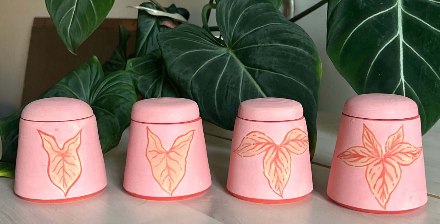 𝓼𝔂𝓷𝓰𝓸𝓷𝓲𝓾𝓶 𝓮𝓿𝓸𝓵𝓾𝓽𝓲𝓸𝓷 𝓳𝓪𝓻𝓼 𖧧⚘.⟡