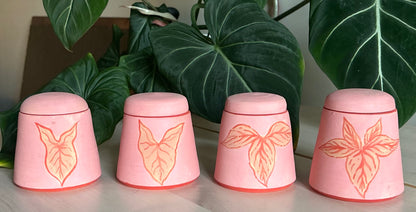 𝓼𝔂𝓷𝓰𝓸𝓷𝓲𝓾𝓶 𝓮𝓿𝓸𝓵𝓾𝓽𝓲𝓸𝓷 𝓳𝓪𝓻𝓼 𖧧⚘.⟡