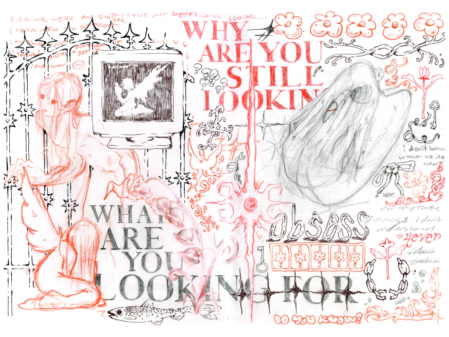 what are you looking for print