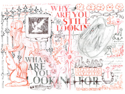 what are you looking for print