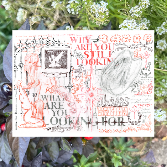 what are you looking for print